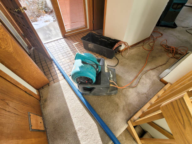 Best Ceiling water damage repair  in David City, NE