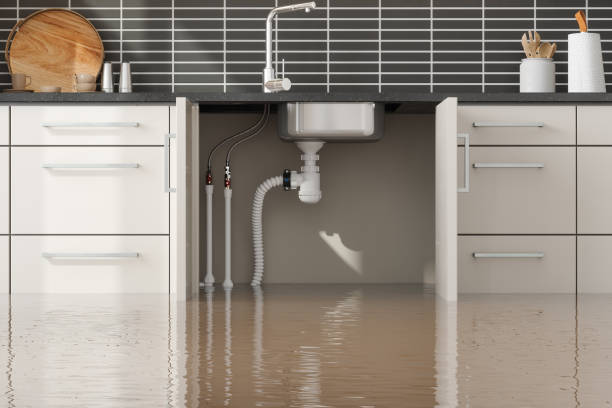 Best Water damage restoration near me  in David City, NE