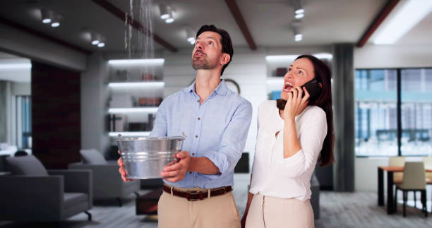 Best Residential water damage restoration  in David City, NE