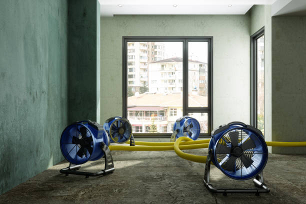 Best Local water damage restoration  in David City, NE